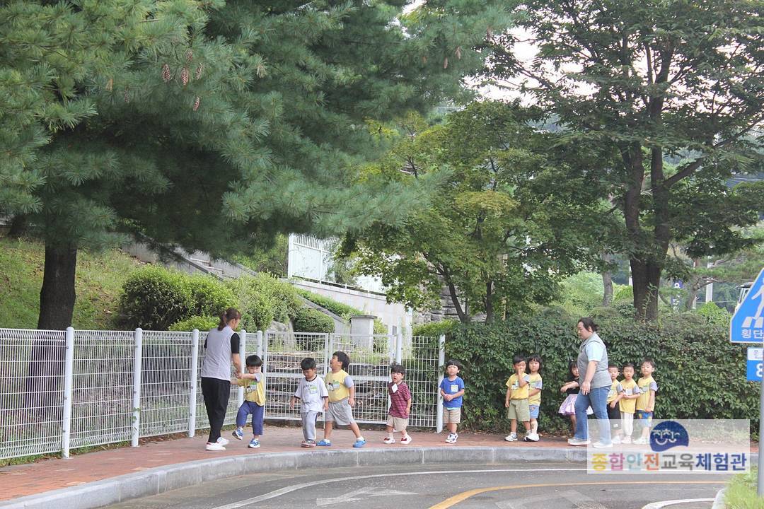 IMG_0039.jpg